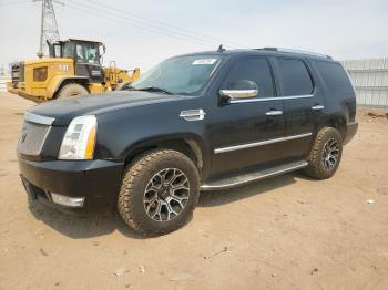  Salvage Cadillac Escalade