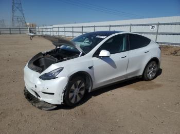  Salvage Tesla Model Y