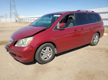  Salvage Honda Odyssey