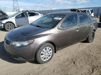  Salvage Kia Forte