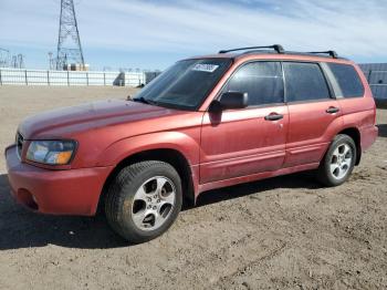  Salvage Subaru Forester