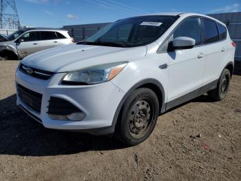  Salvage Ford Escape