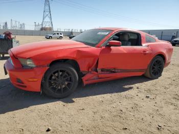  Salvage Ford Mustang