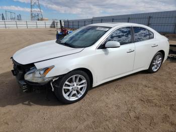  Salvage Nissan Maxima