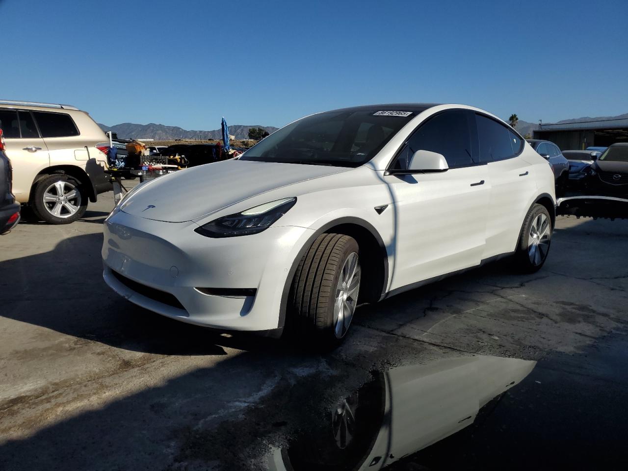 Tesla Model Y Image 1