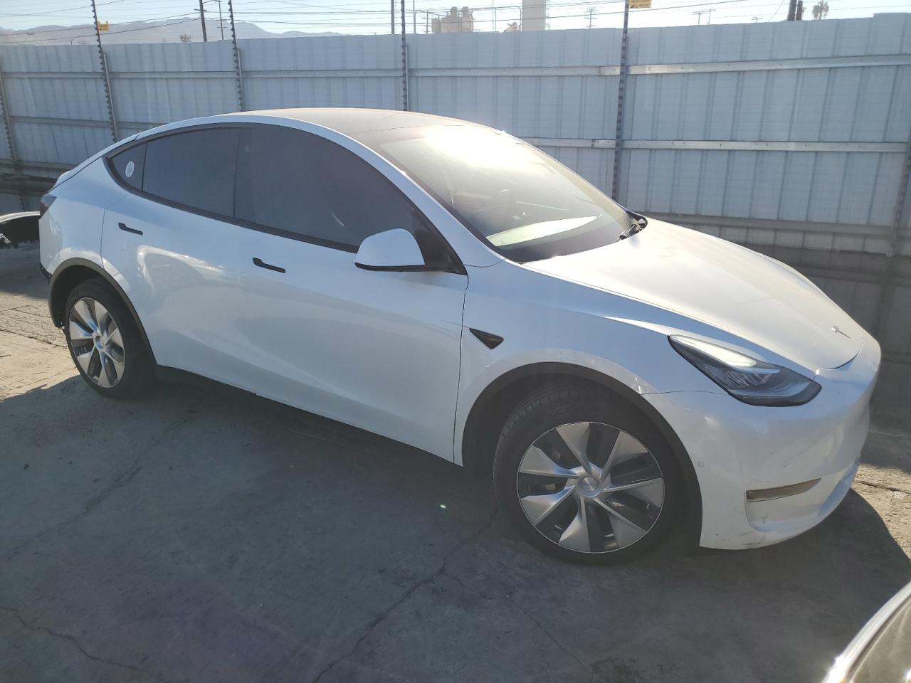 Tesla Model Y Image 5