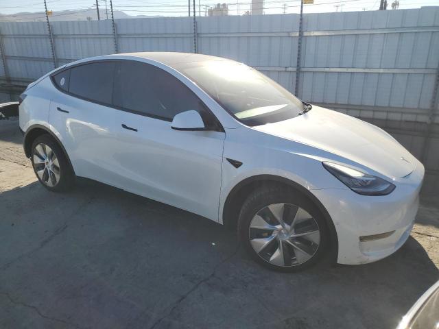 Tesla Model Y Image 5