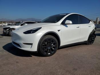  Salvage Tesla Model Y