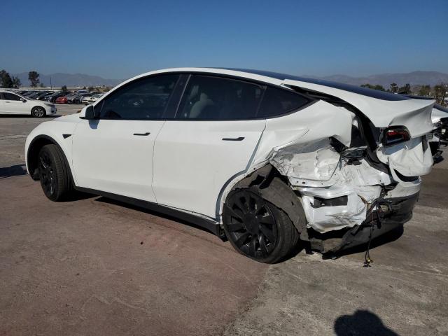 Tesla Model Y Image 6