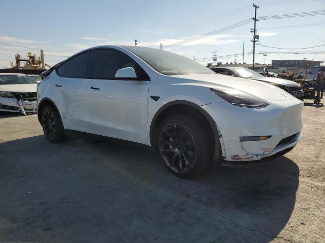 Tesla Model Y Image 2