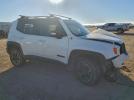 Jeep Renegade Trailhawk Image 3