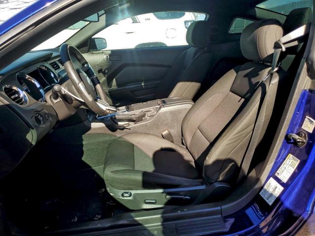 Ford Mustang Image 11